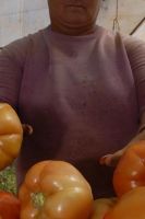 _ABT empresa Lenin 20